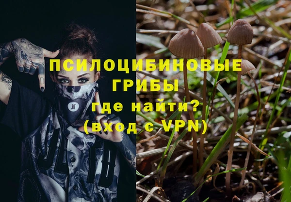 спиды Елабуга