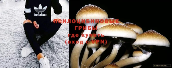 спиды Елабуга